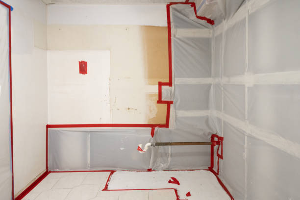 Best Crawl Space Mold Remediation  in Madeira, OH