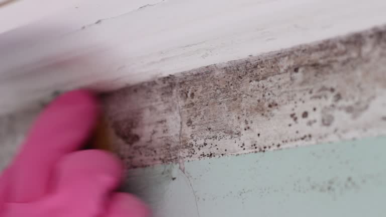 Best Asbestos and Lead Testing During Mold Inspection  in Madeira, OH